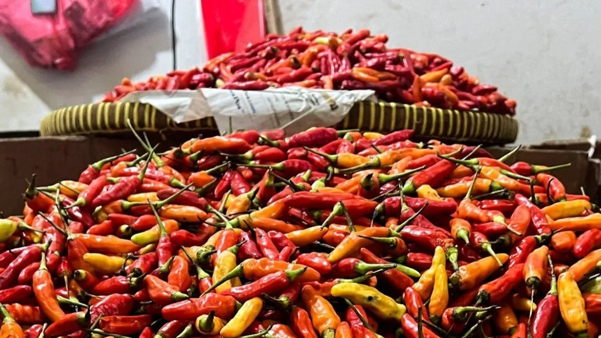 harga cabai rawit merah hari ini