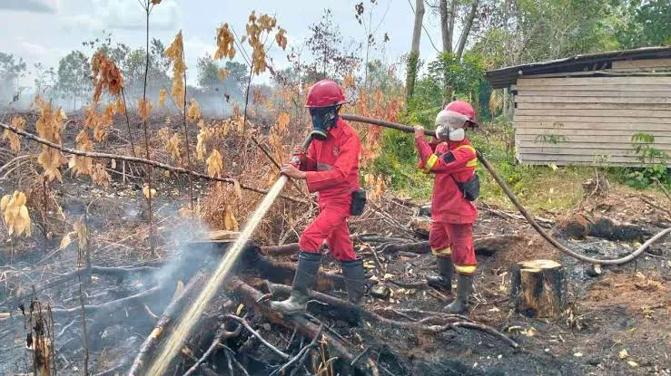 karhutla bencana nasional