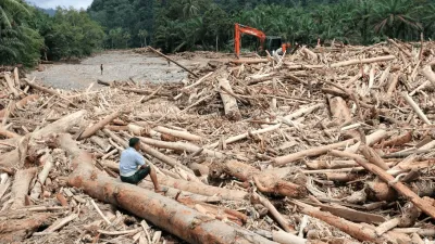 Gelondongan Kayu dari Hulu Sumatra: Bukti Kerusakan Hutan yang Gema Dampaknya hingga Lintas Negara