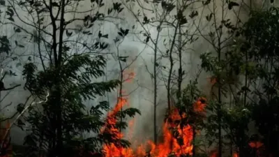 Karhutla Gunung Geulis Sukabumi Meluas hingga 4 Hektare