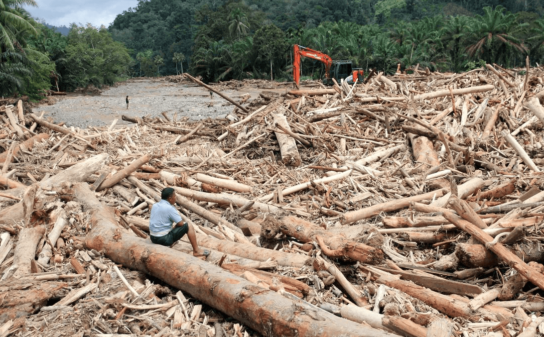 Ilegal Logging Penyebab Banjir Sumatera