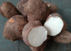 Uwi - (Dioscorea alata)