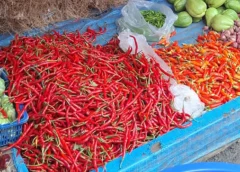 Harga Cabai Lebaran 2026