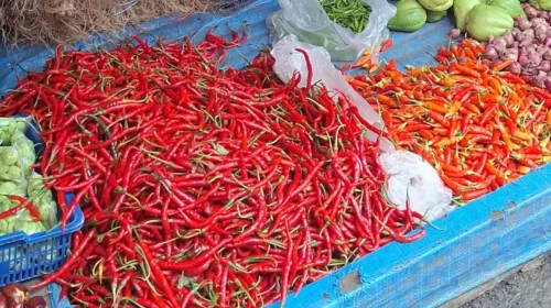 Harga Cabai Lebaran 2026