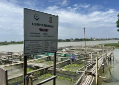 pendampingan KKP budidaya ikan