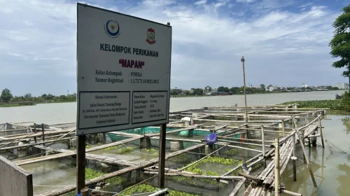 pendampingan KKP budidaya ikan