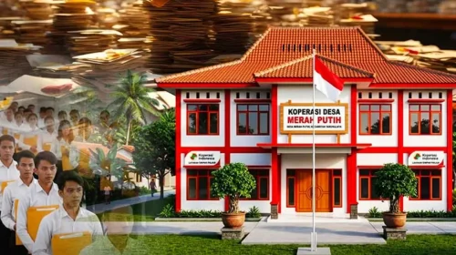 skema PKWT koperasi Merah Putih