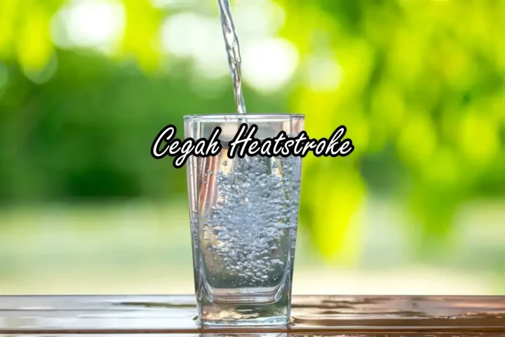Cara Mencegah Heatstroke