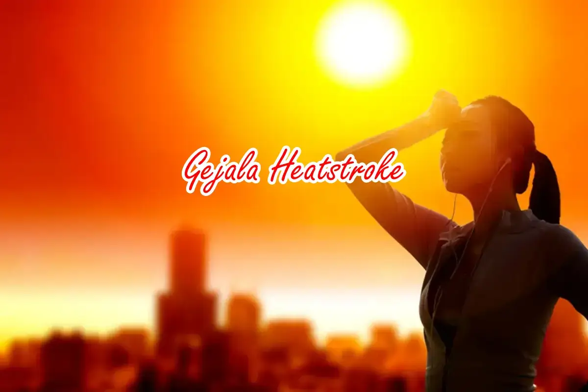 Gejala Heatstroke
