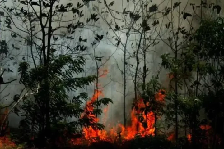 Karhutla Gunung Geulis, suara dunia nusantara